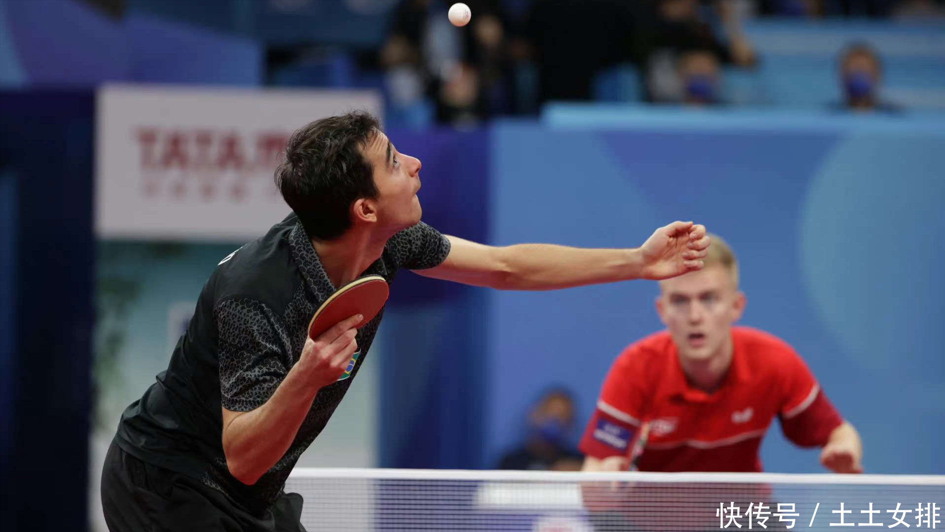 正因为此 正因为此